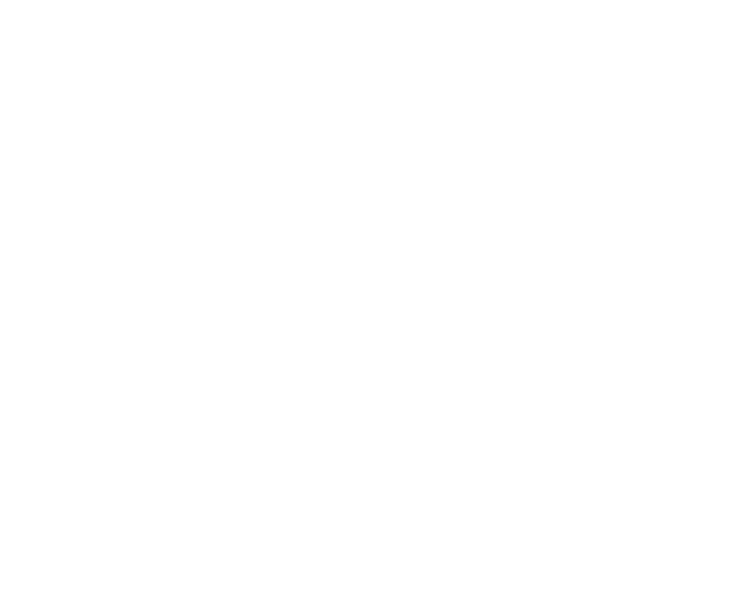 Aureginal Couture